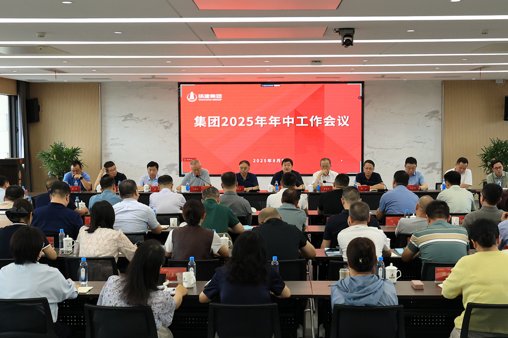 集团召开2025年年中工作会议